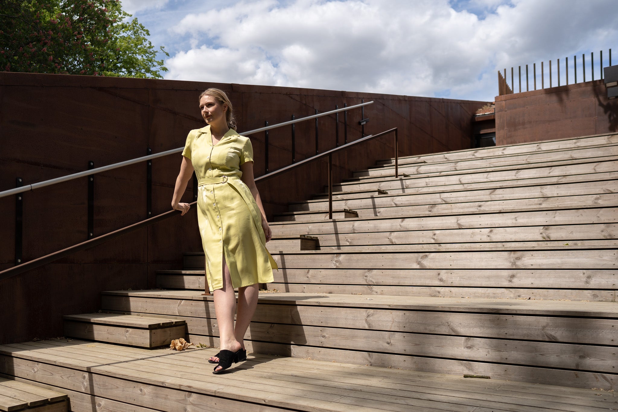 Lapel collar dress, Røllike